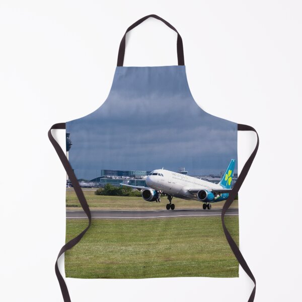 Item preview, MAN to DUB Aer Lingus Airbus A320-214 EI-DVL designed and sold by Skyframe Aviation.
