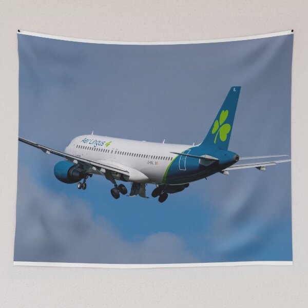 Item preview, MAN to DUB Aer Lingus Airbus A320-214 EI-DVL designed and sold by Skyframe Aviation.