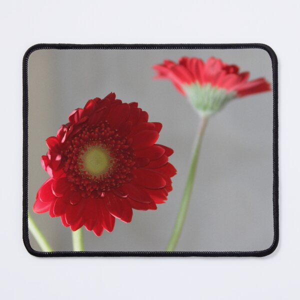 Item preview, red gerber daisies designed and sold by Nordic Waters Collection.