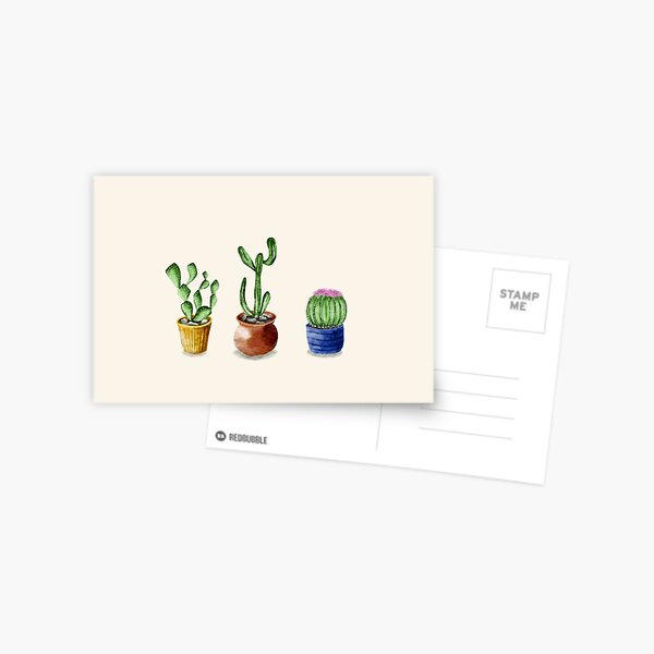 Cactus Carte postale
