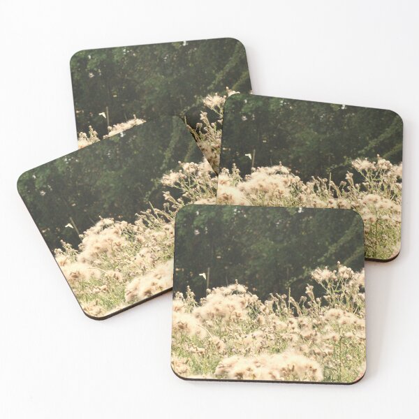 Item preview, soft field of thistles  designed and sold by Jampsphotos.