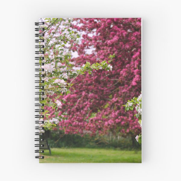 Item preview, Blossom orchard  designed and sold by Jampsphotos.