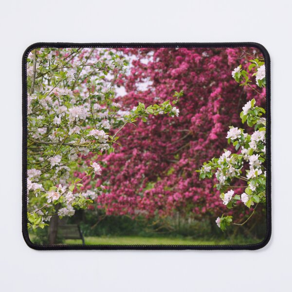 Item preview, Blossom orchard designed and sold by Jampsphotos.