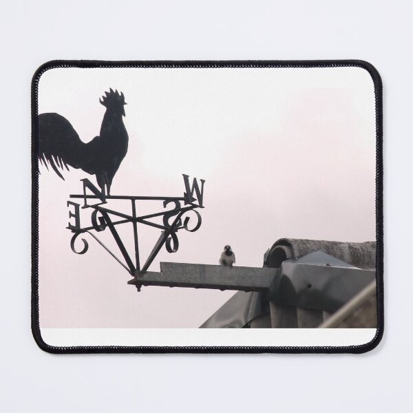 Item preview, finch and a cockerel designed and sold by Jampsphotos.