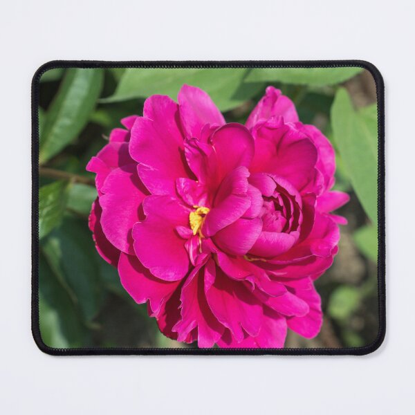 Item preview, Vibrant Peony Bloom in Rich Magenta designed and sold by Georgia Mizuleva.