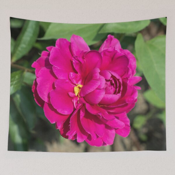 Item preview, Vibrant Peony Bloom in Rich Magenta designed and sold by Georgia Mizuleva.