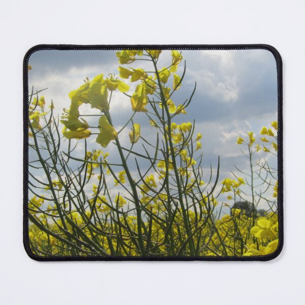 Item preview, fields of golden petals designed and sold by Jampsphotos.
