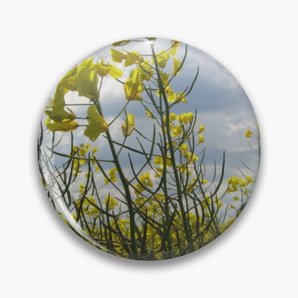 Item preview, fields of golden petals designed and sold by Jampsphotos.