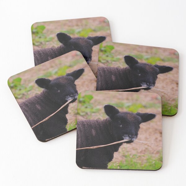 Item preview, spring lamb's straw mustache designed and sold by Jampsphotos.