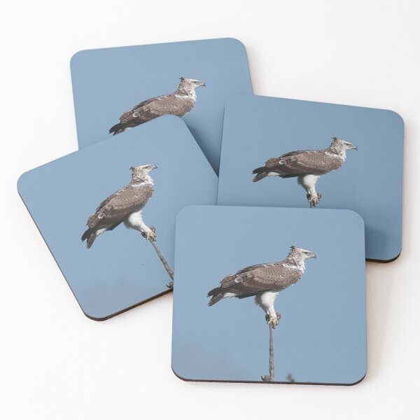 Item preview, Martial Eagle designed and sold by Exaisle.