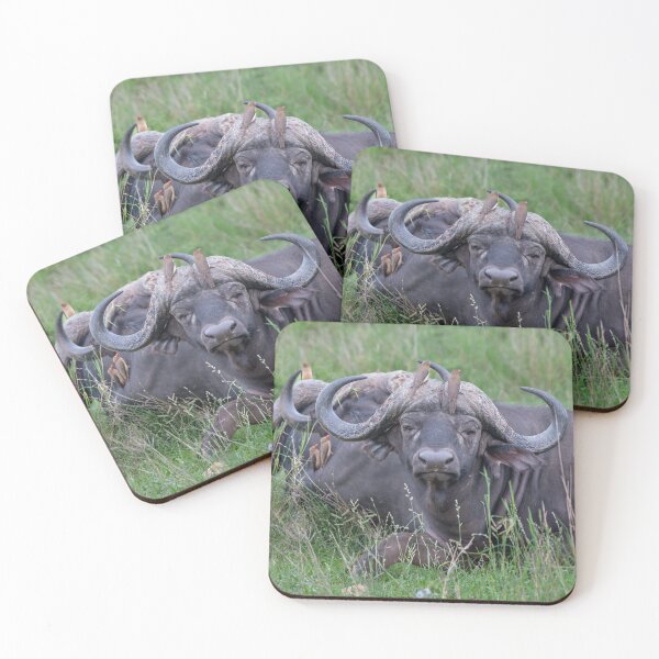 Item preview, Buffalo resting designed and sold by Exaisle.
