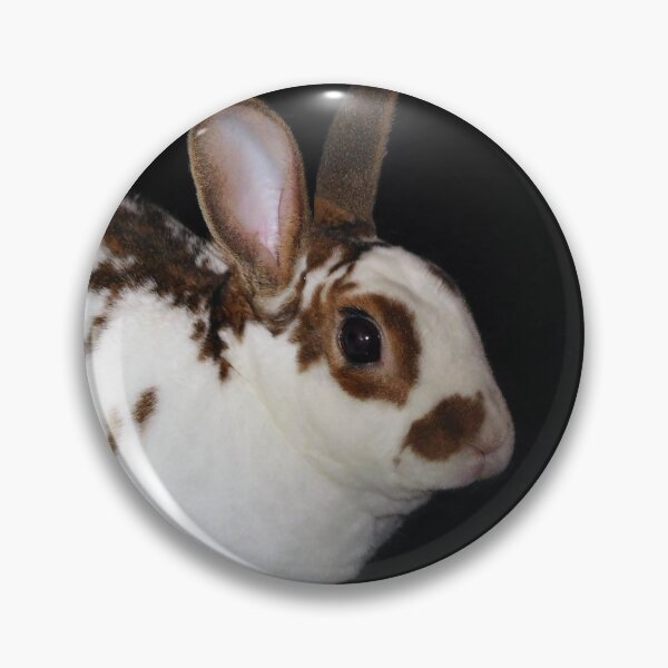 Item preview, Kojikaki the Mini Rex Rabbit designed and sold by priesterjen.