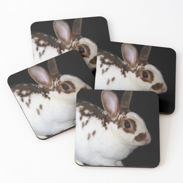 Item preview, Kojikaki the Mini Rex Rabbit designed and sold by priesterjen.