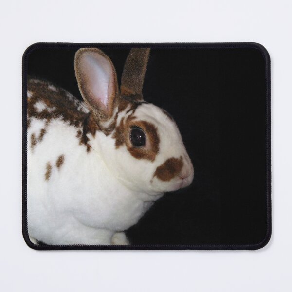 Item preview, Kojikaki the Mini Rex Rabbit designed and sold by priesterjen.
