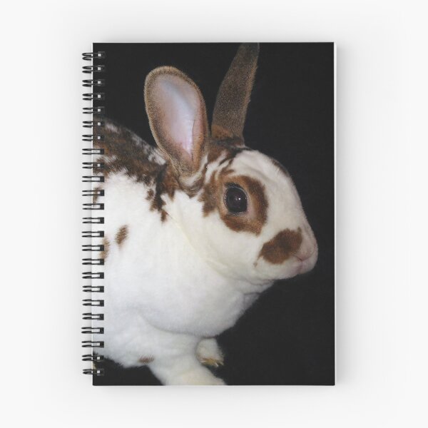Item preview, Kojikaki the Mini Rex Rabbit designed and sold by priesterjen.