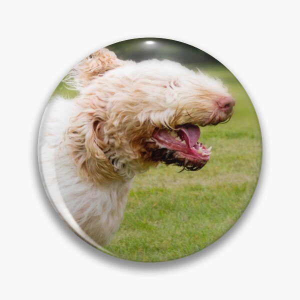 Item preview, Speed of light Spinone by heidiannemorris © designed and sold by FOLK ART FUSION by heidiannemorris.