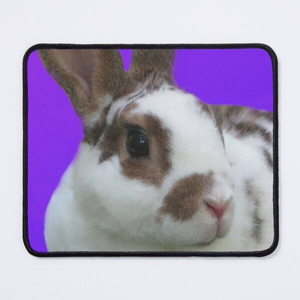 Item preview, Kojikaki on Purple Background designed and sold by priesterjen.