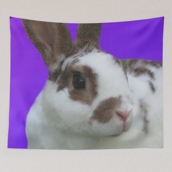 Item preview, Kojikaki on Purple Background designed and sold by priesterjen.