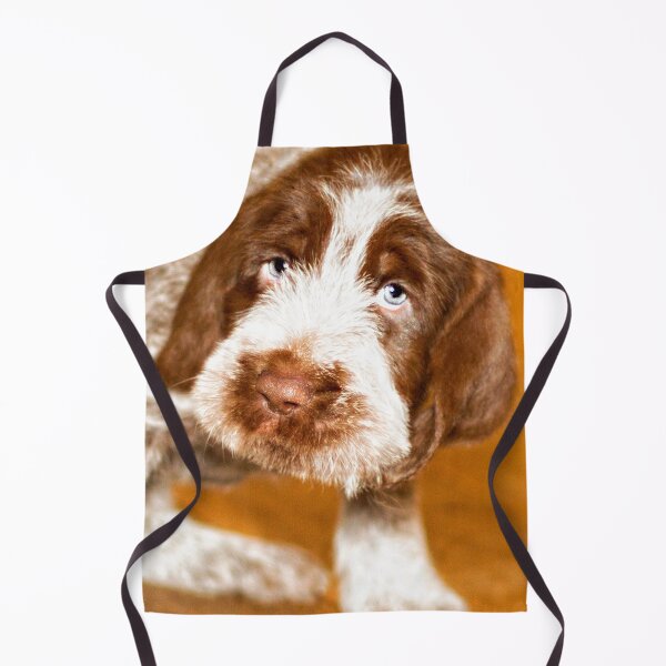 Item preview, Puppy dog eyes Spinone by heidiannemorris © designed and sold by FOLK ART FUSION by heidiannemorris.
