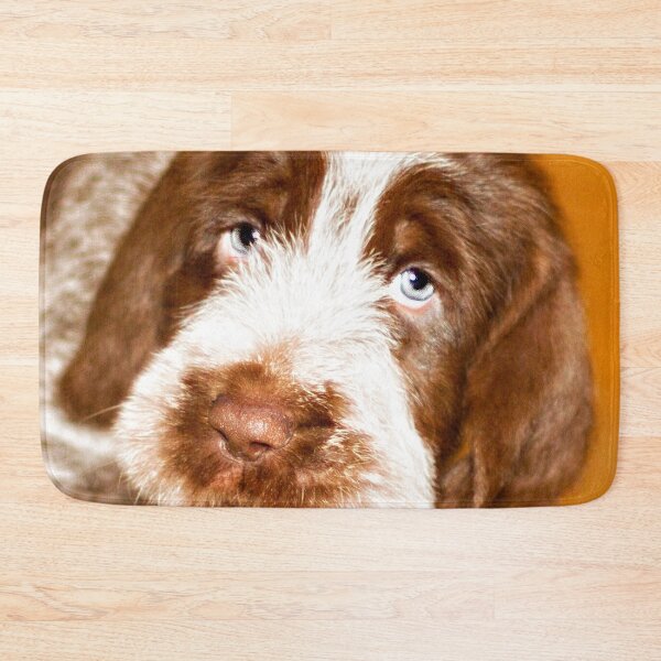 Item preview, Puppy dog eyes Spinone by heidiannemorris © designed and sold by FOLK ART FUSION by heidiannemorris.