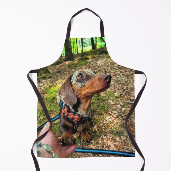 Item preview, Pawshake of Trust – Lord Chipolata designed and sold by HisLordChip.