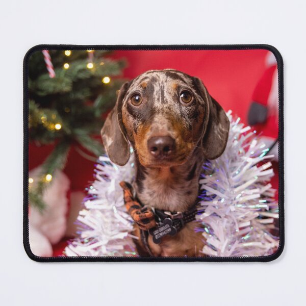 Item preview, Dachshund Through the Snow designed and sold by HisLordChip.