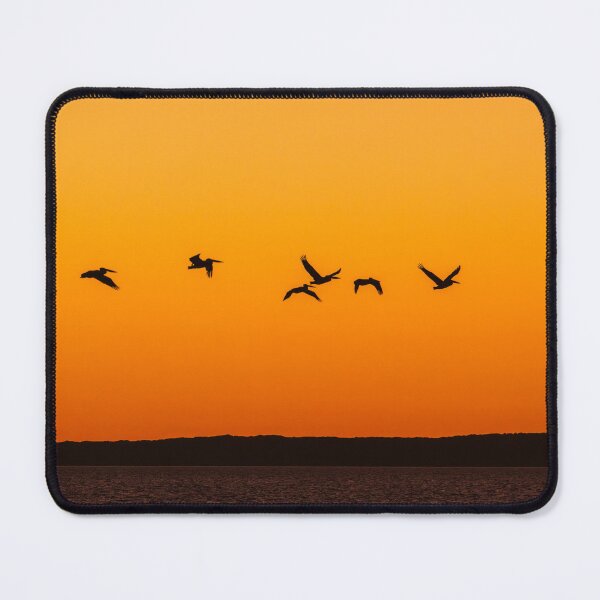 Item preview, Pelicans Flying to Nightly Roost - Pilbara Region designed and sold by Images by Chris de Blank.