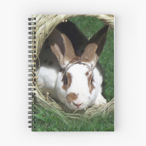 Item preview, Kojikaki in Hay Hideout designed and sold by priesterjen.
