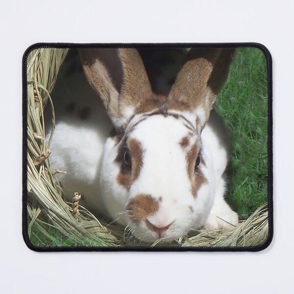 Item preview, Kojikaki in Hay Hideout designed and sold by priesterjen.