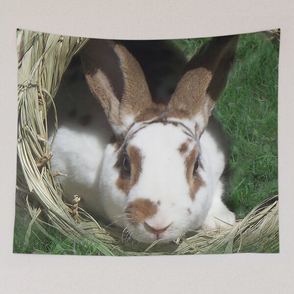 Item preview, Kojikaki in Hay Hideout designed and sold by priesterjen.