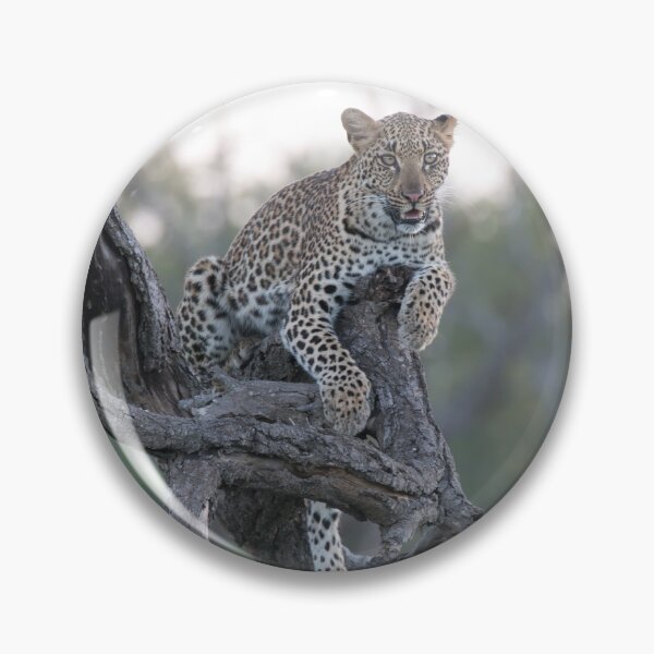 Item preview, Leopard at dusk designed and sold by Exaisle.