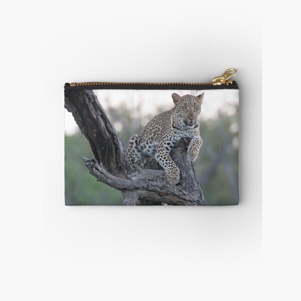 Item preview, Leopard at dusk designed and sold by Exaisle.