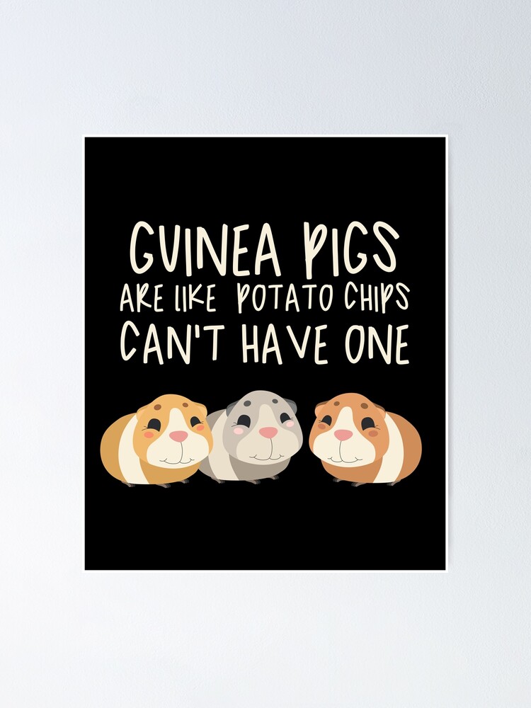 "Guinea Pigs Are Like Potato Chips Can't Just Have One" Poster for Sale
