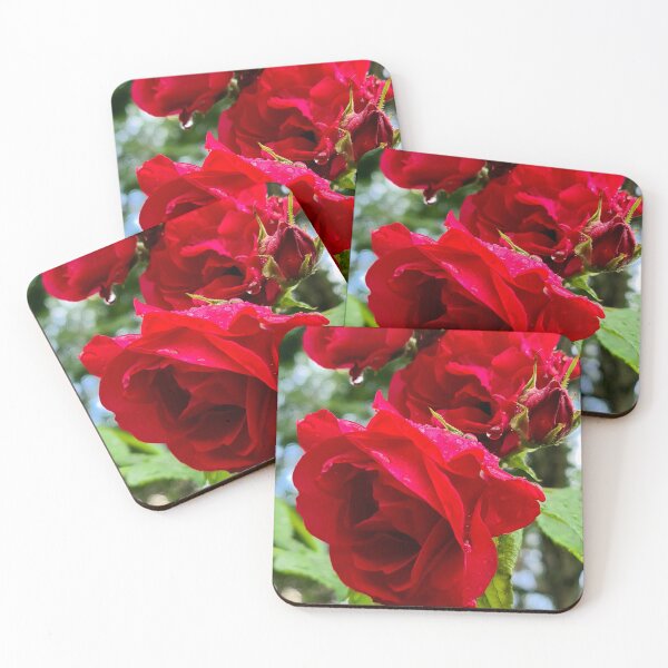 Item preview, Climbing roses designed and sold by bluerosesart37.