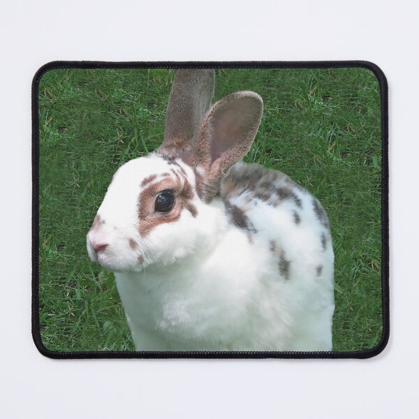 Item preview, Kojikaki in Grass designed and sold by priesterjen.