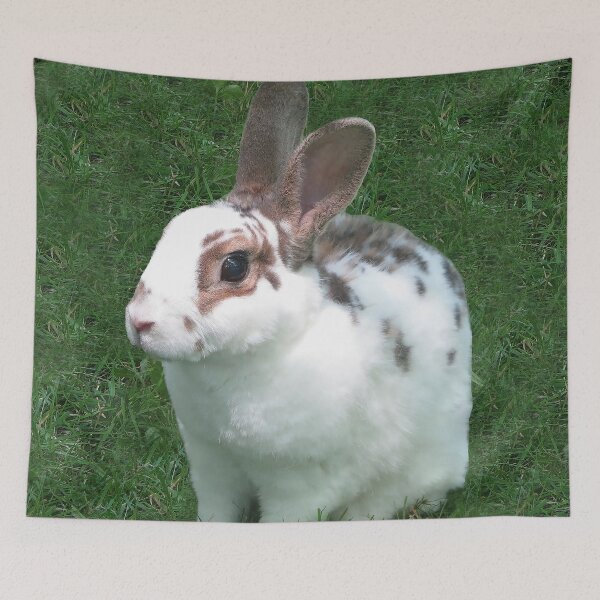 Item preview, Kojikaki in Grass  designed and sold by priesterjen.