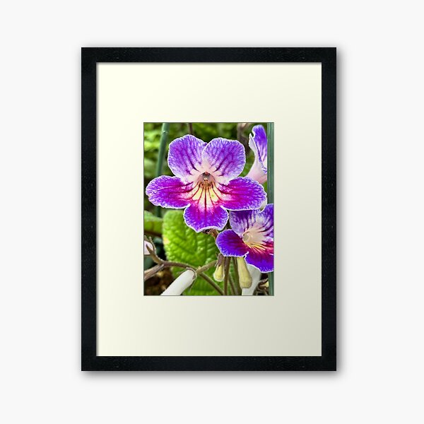 Item preview, Violet  designed and sold by Rissaaliya.