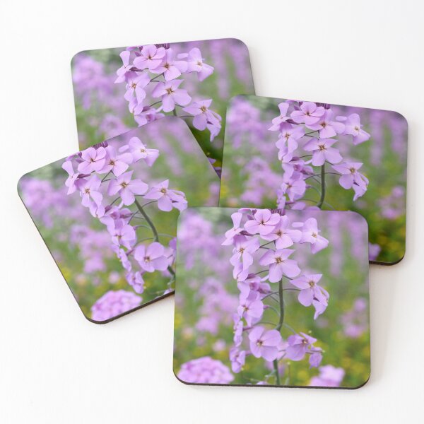 Item preview, Think pink. Dame's gilliflower designed and sold by Jouko Lehto Photography.