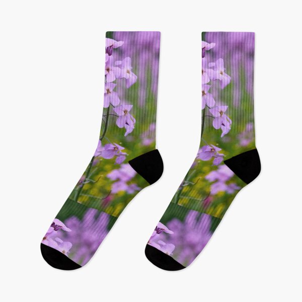 Item preview, Think pink. Dame's gilliflower designed and sold by Jouko Lehto Photography.