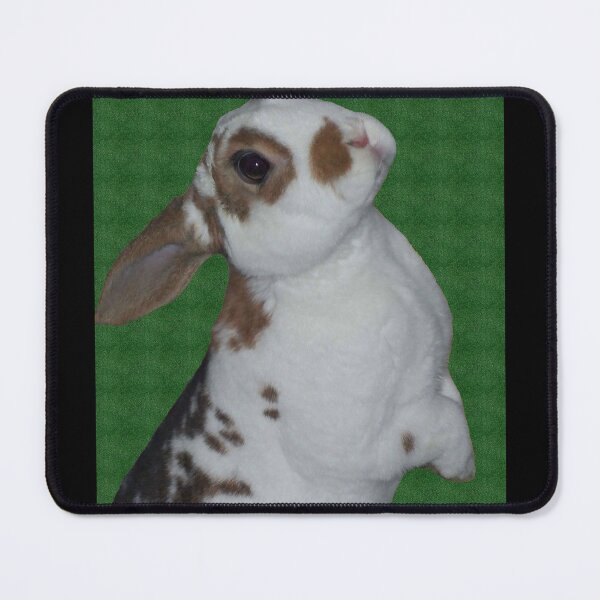 Item preview, Curious Kojikaki designed and sold by priesterjen.