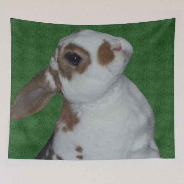 Item preview, Curious Kojikaki  designed and sold by priesterjen.