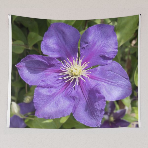 Item preview, Vibrant Blue  designed and sold by John Thurgood.