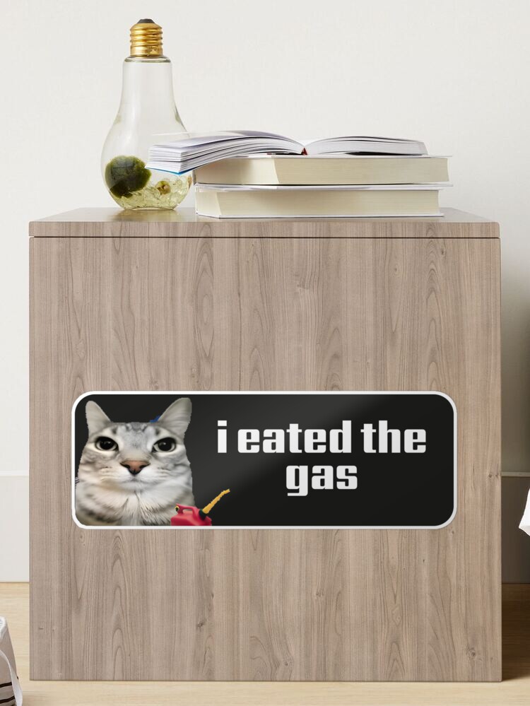 I Eated The Gas Funny Gen Z Meme Bumper Sticker