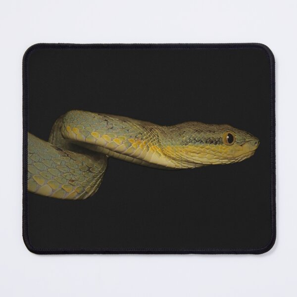 Item preview, The bamboo pit viper snake designed and sold by Wild-shms.
