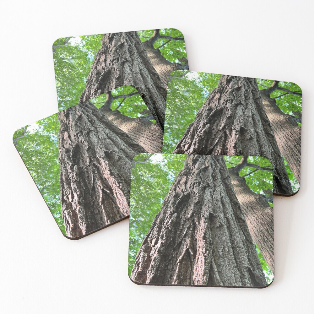 Item preview, Coasters (Set of 4) designed and sold by Rissaaliya.