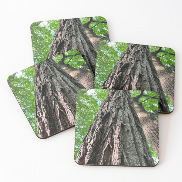 Item preview, Rooted designed and sold by Rissaaliya.
