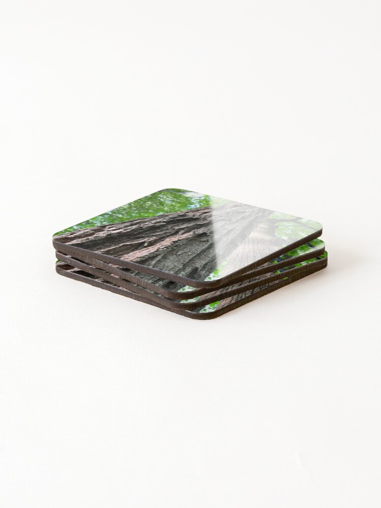 Thumbnail 4 of 5, Coasters (Set of 4), Rooted designed and sold by Rissaaliya.