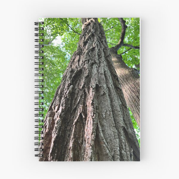 Item preview, Rooted designed and sold by Rissaaliya.