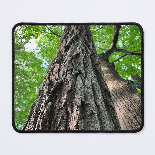Item preview, Rooted designed and sold by Rissaaliya.