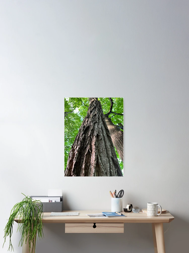Thumbnail 2 of 3, Poster, Rooted designed and sold by Rissaaliya.